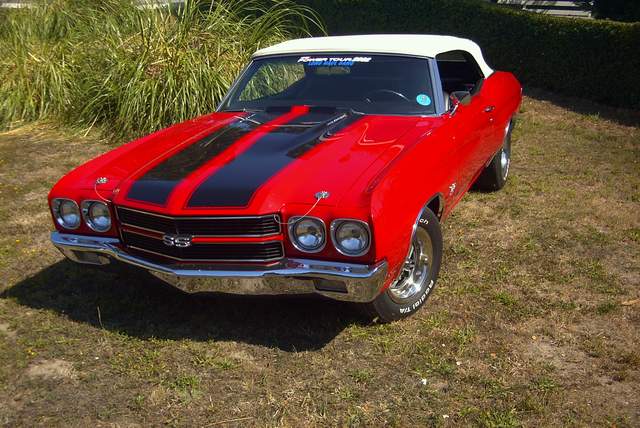 A red and white chevrolet chevelle is parked in a grassy area.